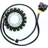 ElectroSport Stator ESG996 for alternator