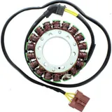 ElectroSport Stator ESG999 für Lichtmaschine