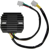ElectroSport Charge controller ESR 160