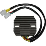 ElectroSport Charge controller ESR 180