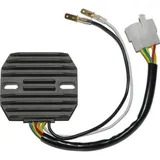 ElectroSport Charge controller ESR 240