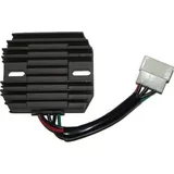 ElectroSport Charge controller ESR 550