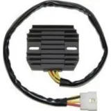 ElectroSport Charge controller ESR 264