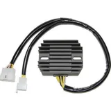 ElectroSport Charge controller ESR 310