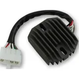 ElectroSport Charge controller ESR 320