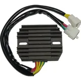 ElectroSport Charge controller ESR 531