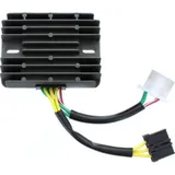 ElectroSport Charge controller ESR 549
