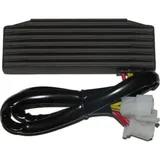 ElectroSport Charge controller ESR 750