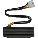 ElectroSport Charge controller ESR 751