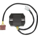 ElectroSport Charge controller ESR 916