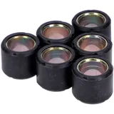 Variomatikgewichte 16x13 - 5,40g 12700-MF16-0540