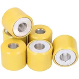variator / vario rollers 19x17 - 8.40g - 6 pieces 12700-MF1917-0840