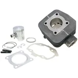 Zylindersatz Zylinderkit Polini Grauguss Sport 50ccm 39,94mm für Peugeot liegend AC 142.0159
