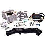 Zylindersatz Zylinderkit Polini Aluminium 66,29ccm für Yamaha Aerox 50 iGET 4V EU4 166.0116