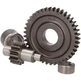 Abtrieb Getriebe sekundär Polini 14/41 für Minarelli 202.1321 Abtrieb Getriebe sekundär Polini 14/41 für Minarelli 202.1321