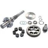Getriebe sekundär Polini 14/48 Flexible Coupling für Piaggio 50 2T 1998- 202.1409