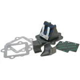 Membrankasten Membranblock Polini für Minarelli liegend, CPI, Keeway, 1E40QMB 213.0046