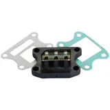 Membrankasten Membranblock Polini für Honda, Kymco, Peugeot, SYM stehend 213.0049