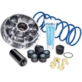 Variator Variomatik Polini Maxi Hi-Speed für Kymco Agility 300i Euro4 241.756