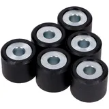 Variorollen Variomatikgewichte Polini 20x17mm - 22,0g 242.358