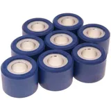 roller set / variator weights Polini 25x19mm - 15.5g (8pcs) 242.361