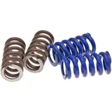 Kupplungsfedern für Polini Speed Clutch 2G EVO2, 2 Paar 245.075
