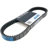 drive belt Polini Maxi Belt for Aprilia, Derbi, Gilera Nexus, Runner, Piaggio Fly, Liberty, Vespa LX, S, Sprint 125, 150 248.120