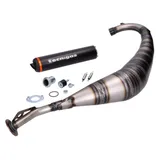 Auspuff Tecnigas E-Box für Aprilia RS50 2010-, Derbi GPR 50 2009- 31138