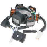 alternator stator for SYM Mio 36151