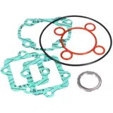Dichtsatz Zylinder Dichtungssatz DMP Sport 70ccm 10mm für Minarelli liegend LC 42047