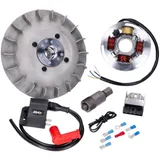 Zündung EVOK Elektronik 12V d=17mm für Vespa Largeframe, GT, Sprint, Super, VNA, VNB 49378