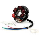 Zündung BGM PRO Grundplatte HP V2.5 Silikon für Vespa Sprint150, TS125, GT125 , GTR125, Super, GL150 50172
