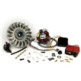 Zündung BGM PRO HP V4.0 DC Lambretta GP, DL CDI bgm Pro 52017 Zündung BGM PRO HP V4.0 DC Lambretta GP, DL CDI bgm Pro 52017
