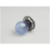 Light bulb -P26s- 12V 15W - blue xenon style 52283 Light bulb -P26s- 12V 15W - blue xenon style 52283