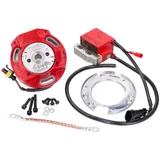 Innenrotor Zündung Italkit Selettra analog für Minarelli AM6 2-Takt Euro1, Euro2, Euro3 52812 Innenrotor Zündung Italkit Selettra analog für Minarelli AM6 2-Takt Euro1, Euro2, Euro3 52812