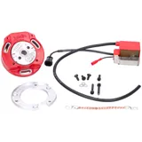 inner rotor ignition Italkit Selettra analog for Derbi Senda D50B0 2-stroke Euro3 53084