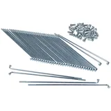 Speichen Satz 1,2x158mm 17 Zoll für Piaggio Bravo, Boxer, Ciao (Hinterrad) 54124