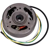 Ignition armature complete 6V/23W with brake light coil for Hercules, KTM, Kreidler, Puch mopeds 55065
