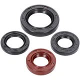 Simmrring Wellendichtringsatz Motor für GY6 50ccm 139QMB BT17304 Simmrring Wellendichtringsatz Motor für GY6 50ccm 139QMB BT17304