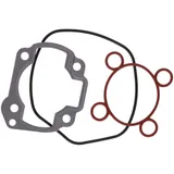 Dichtsatz Zylinder Dichtungssatz DR Evolution 50ccm 40mm für Minarelli liegend LC DR-GR00716