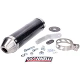 muffler Giannelli carbon for Derbi DRD Edition 50 SM 03-07 GI-33653HF