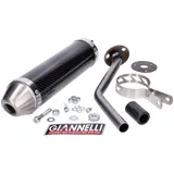Endschalldämpfer Giannelli Carbon für Rieju MRX, SMX, RRX 50 02-03 GI-34640HF