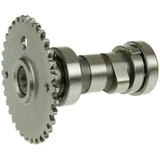 camshaft for GY6 125/150cc GY14659