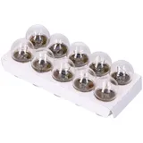turn signal bulb clear R10W BA15S 12V 10W - 10 pcs IP15485-10