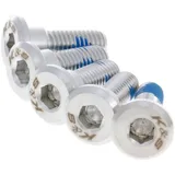 Bolzen Flachkopf Schraube M8x24/18 für Bremsscheibe - 5er Set IP32246