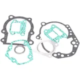 Dichtsatz Motor Dichtungssatz für Peugeot stehend AC IP32887