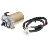 Starter Anlassermotor für Piaggio, Gilera, Derbi, Kymco, Aprilia & Peugeot 50ccm 2T / 11 Zähne IP33165 Starter Anlassermotor für Piaggio, Gilera, Derbi, Kymco, Aprilia & Peugeot 50ccm 2T / 11 Zähne IP33165