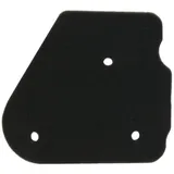Lufi Luftfilter Einsatz für Aprilia 50 2T (Minarelli Motor), CPI 50 E1 -2003 IP35496