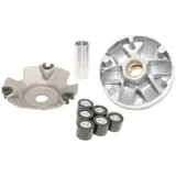 variator for Gilera Runner Purejet 50, Piaggio NRG Purejet 50 IP36045