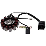 Ankerplatte Spule Lichtmaschine Stator für Gilera, Derbi, Piaggio, Vespa 125ccm, 200ccm IP40139 Ankerplatte Spule Lichtmaschine Stator für Gilera, Derbi, Piaggio, Vespa 125ccm, 200ccm IP40139